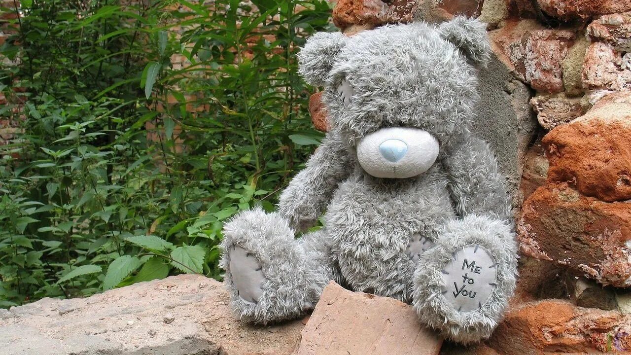 Где тедди. Мишка Тедди. Серый мишка Тедди. Медвежонок Tatty Teddy. Мишка Тодд.