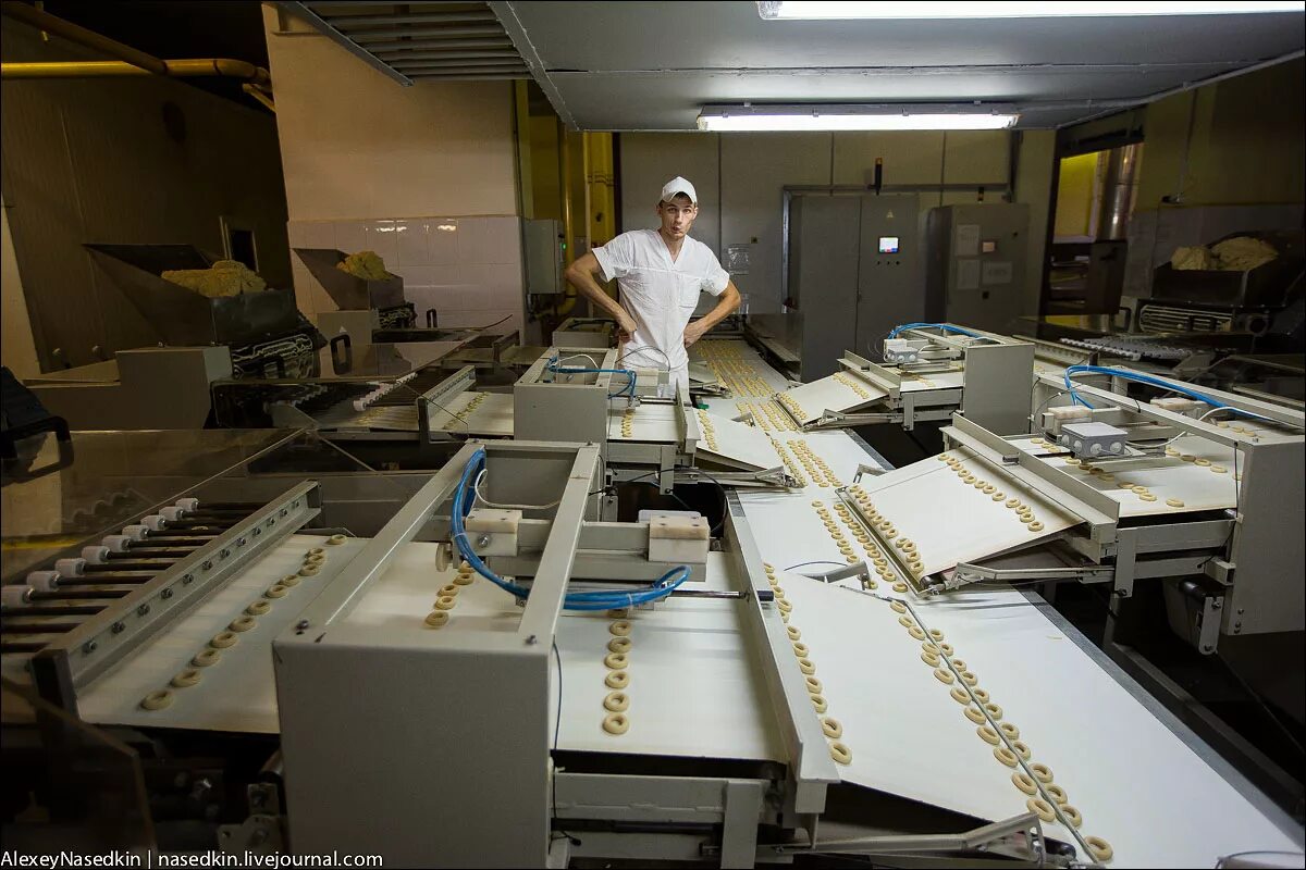 Линия для производства сушек. Производство бараночных изделий. Приспособление для сушки фруктов. Сушка домашнего приготовления. Как делают сушки.