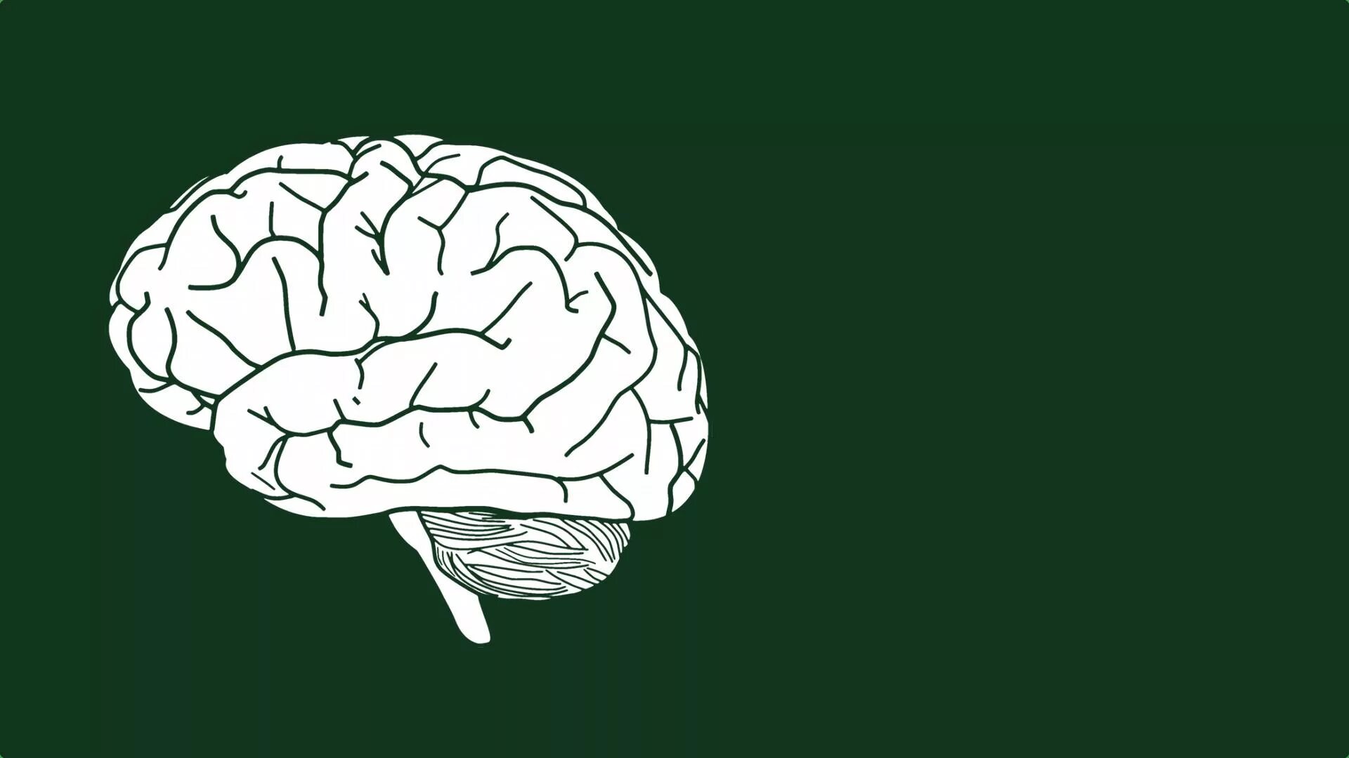 Clean brain. Минималистичный мозг. Мозги Минимализм. Мозг картинка.