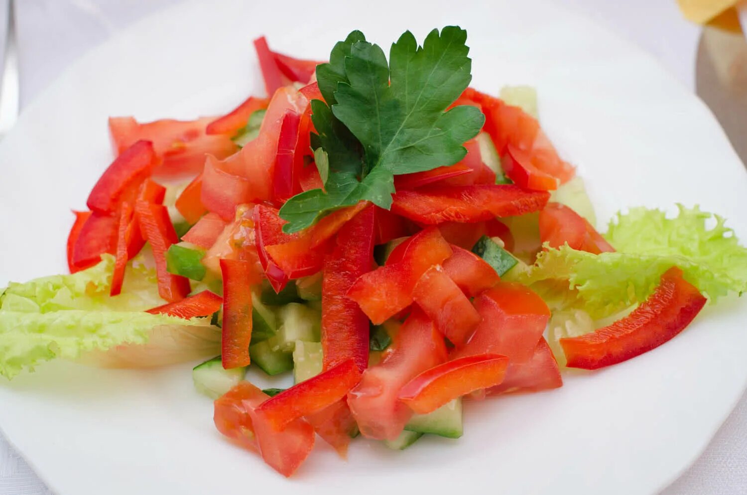 Овощное ассорти «по-болгарски». Овощной салат. Салат из помидоров. Овощной салат огурцы помидоры. Рецепты со свежих помидор