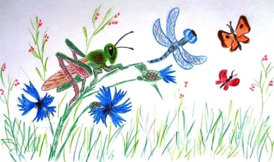 Нарисовать луг 1 класс окружающий. Мир глазами кузнечика. Рисование насекомые. Мир глазами кузнечика рисунок. Детские рисунки.