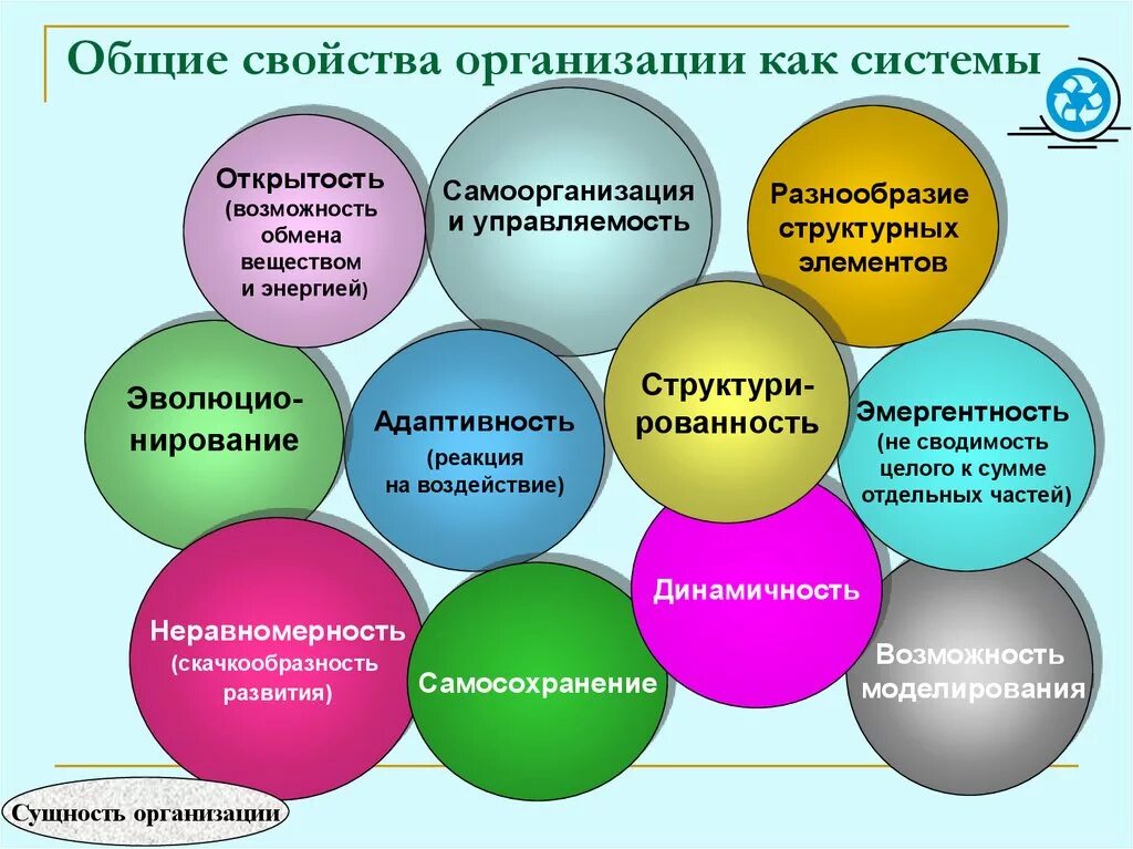 3 свойство организации. Общие свойства организации как системы. Свойства организационной культуры. Основные свойства организационной культуры. Основные характеристики организации как системы..