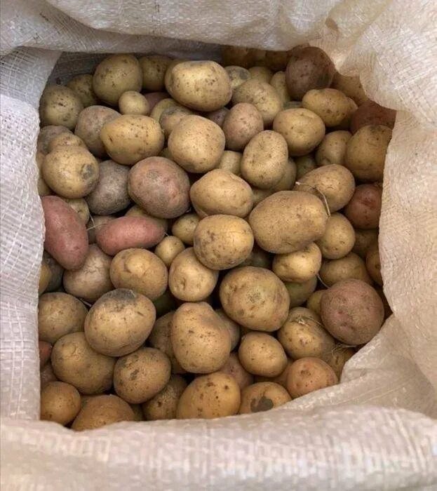 Мелкая картошка. Кормовой картофель. Картофель мелкий ~ 1кг. Мелкая кормовая картошка.