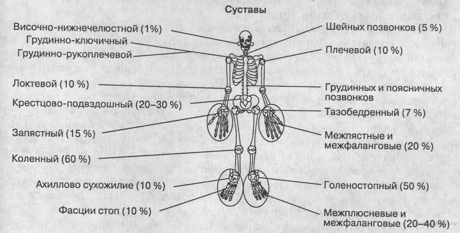 Какие есть суставы. Суставы скелета. Суставы скелета человека таблица. Название суставов человека. Схема суставов человека.