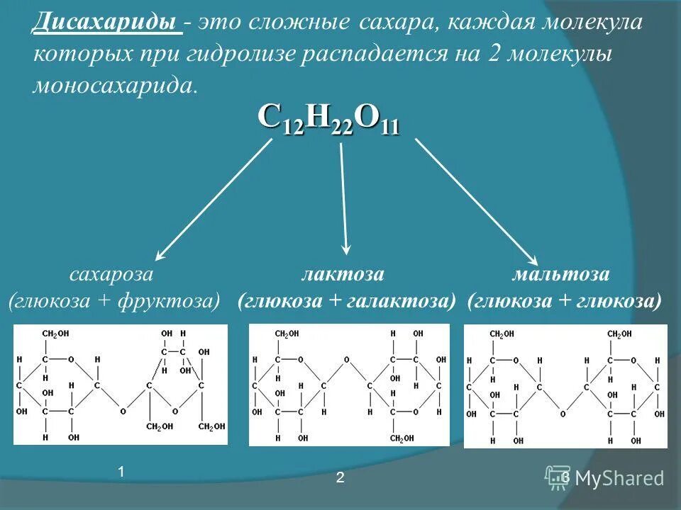 Какие углеводы называют дисахаридами. Основные дисахариды формулы. Дисахариды общая формула химия. Дисахариды мальтоза лактоза сахароза. Дисахариды примеры.