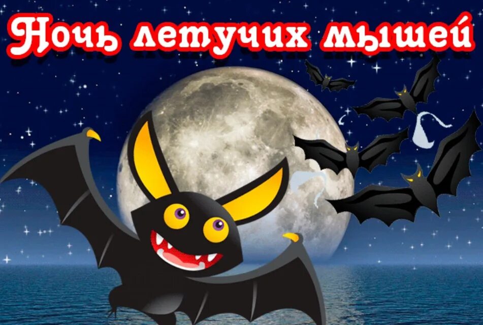 Международная ночь летучих мышей 20 сентября. Международная ночь летучих мышей. международный день летучих мышей. летучая мышь ночью. международная ночь летучих мышей 2025.
