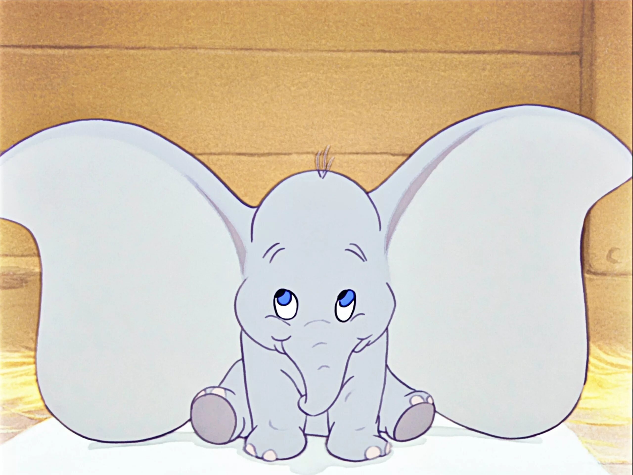 Слоненок с большими ушами