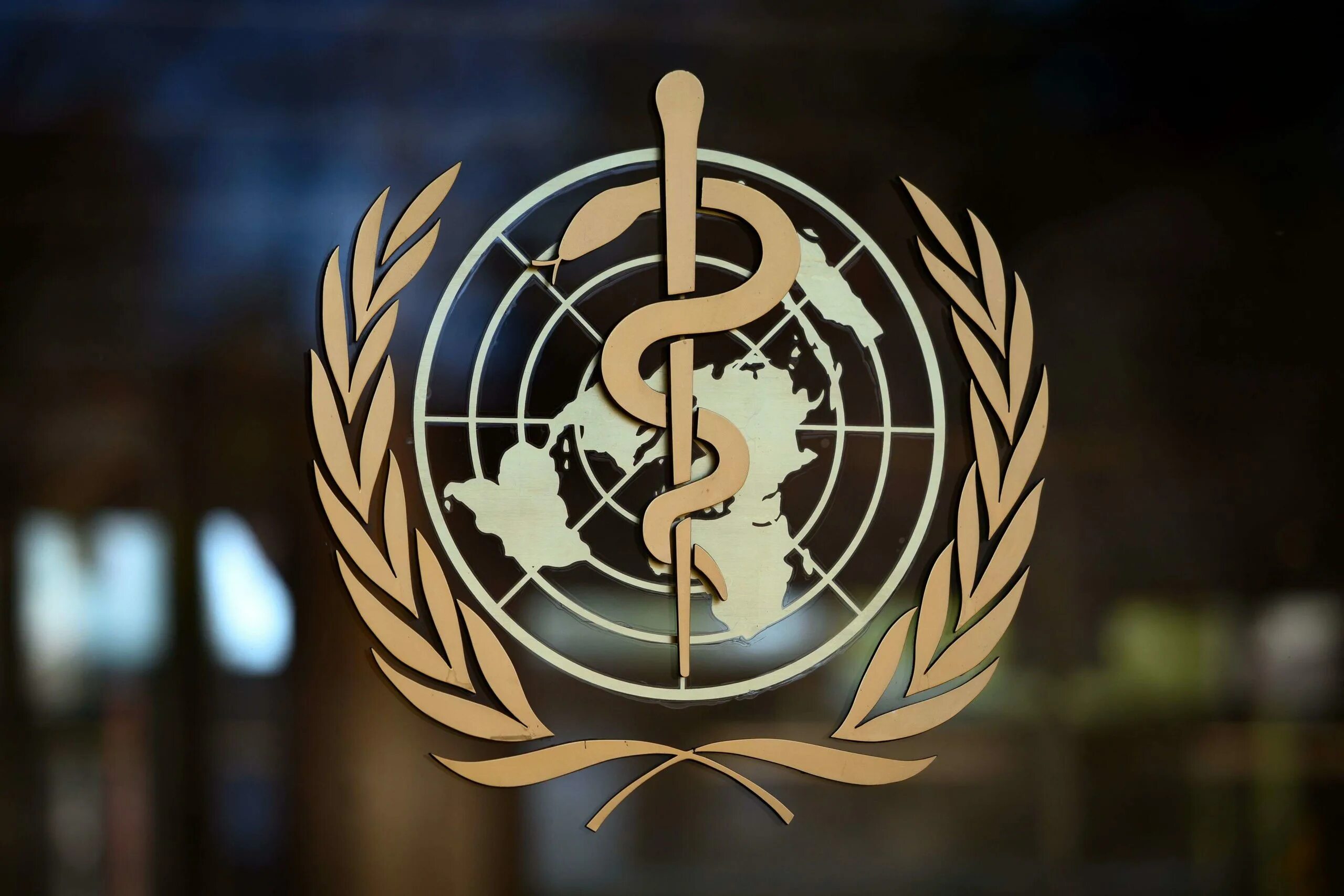 Всемирная организация здравоохранения ООН. Всемирная организация здравоохранения эмблема. Воз - Всемирная организация ООН. Эмблема воз всемирной организации здравоохранения.