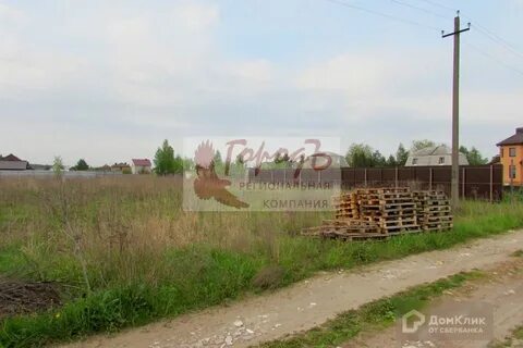 Зеленая сотка орел