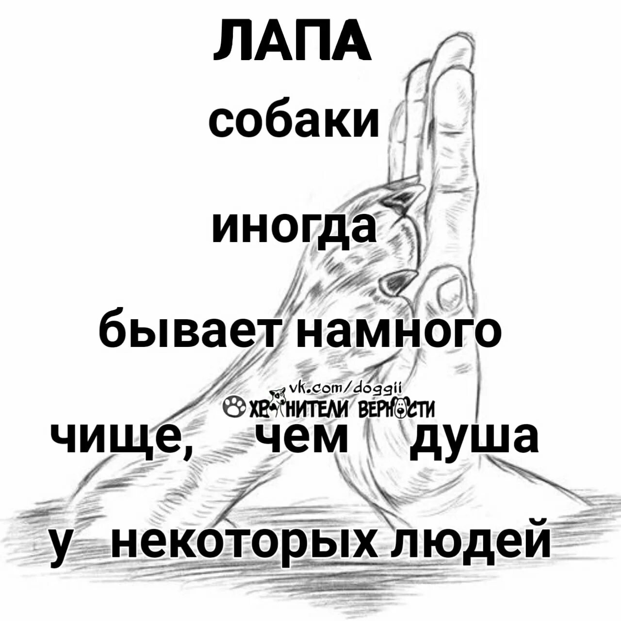 Лапа собаки иногда бывает намного чище чем душа у некоторых людей. Иногда бывает. После общения с некоторыми людьми. Лапа собаки иногда бывает чище, чем у некоторых людей.