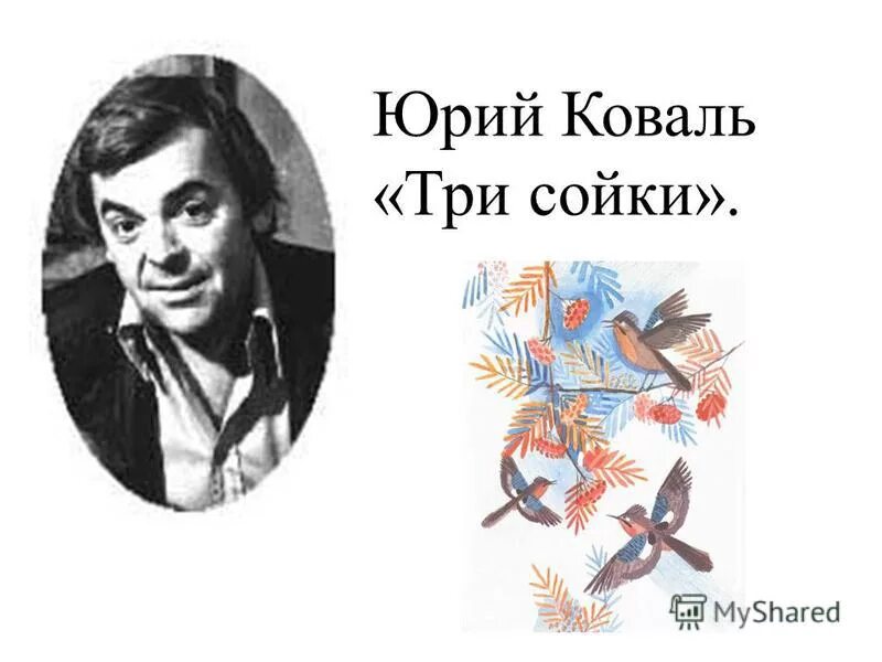 Биография юрия коваля. Герои Юрия Коваля. Писатель ю Коваль.