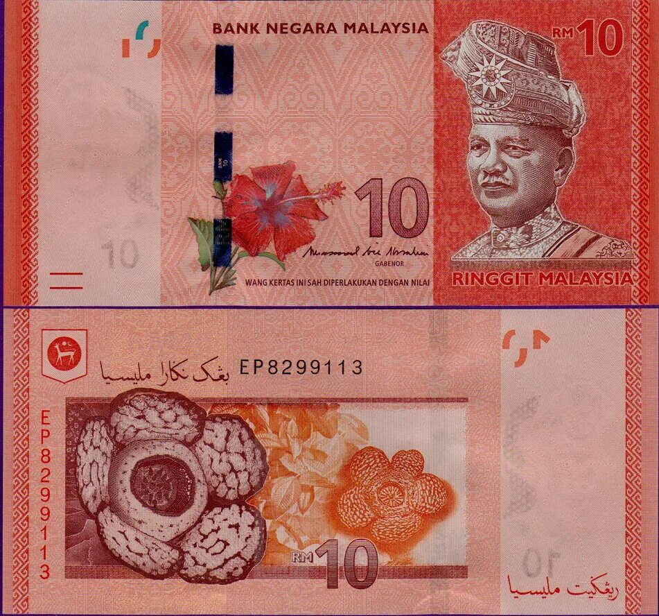 Малазийские банкноты. Банкноты Малайзии. Купюры Малайзии. Ринггит малайзия
