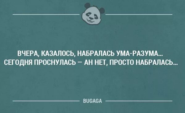 Смешные философские цитаты. Смешная философия фразы. Философские цитаты прикольные. Философские высказывания смешные.