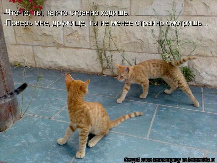 Модели мейсон марджела. Самые нелепые наряды на улицах. Джинсы обосрашки. Анекдот недели. Странно одетые люди на улице.