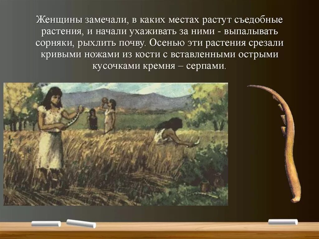 Занятие первобытных людей позволявшее добывать мясную пищу. Занятие первобытных людей позволявшее добывать мясную пищу