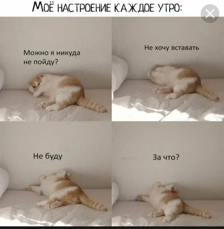 Хочешь поднимаемый беспокоятся замесишь рубящий