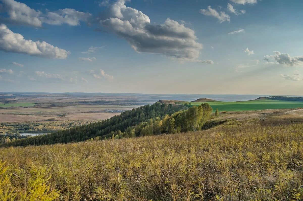 бескрайние сибирские просторы. земля сибири. шумилкин просторы сибири. сибирские просторы кандинка. сибирь фото.