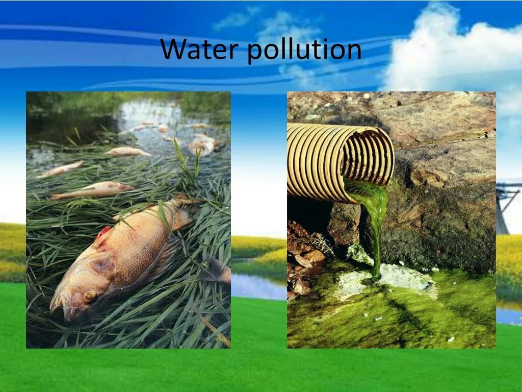 Water pollution презентация. Загрязнение пресных вод. Environmental problems pollution. Water pollution problem.