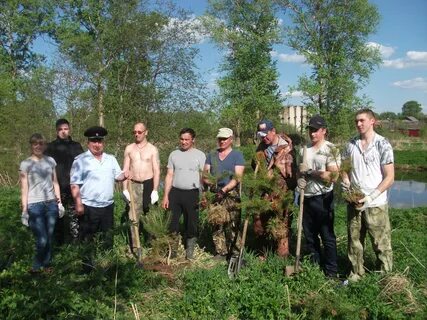 Погода в краснохолмском на неделю