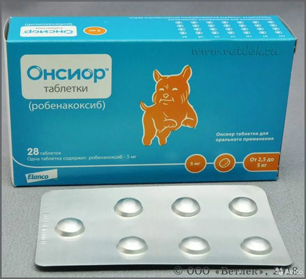 Ансиор