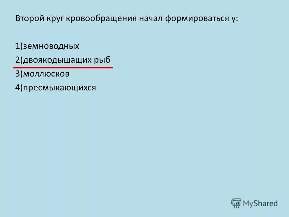 контрольная работа по теме рептилии. пресмыкающиеся представители. царство пресмыкающихся. проверочный тест по теме пресмыкающиеся. тест пресмыкающиеся 2 класс.