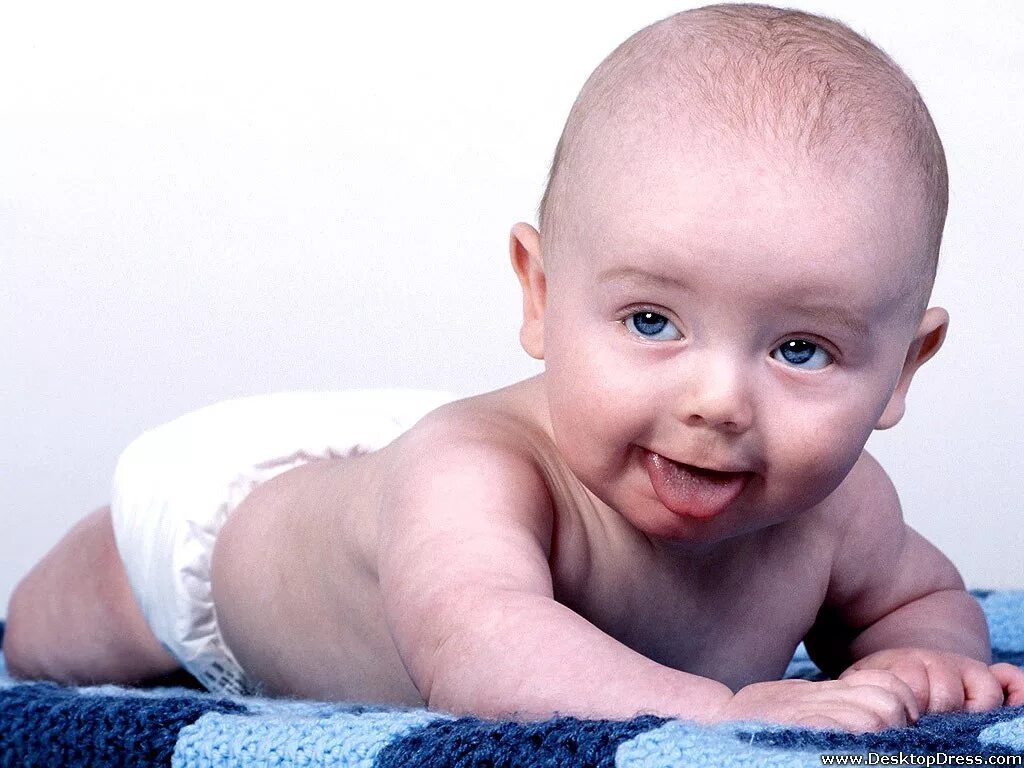 Ребенок в шоке. Baby cute baby detroit. Смешные новорожденные дети. Мюзикл глупый мышонок. Приколы с детьми.