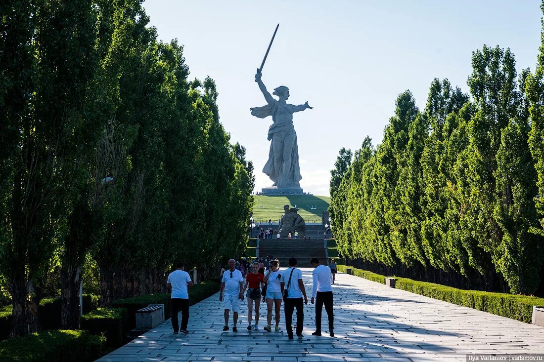 Мамаев курган парк. В парке у мамаева кургана. Парк у мамаева кургана волгоград. Песня в парке у мамаева кургана посадила яблоню вдова. Береза волгоградская мамаев курган.
