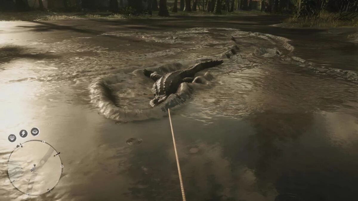 Легендарный аллигатор rdr 2. Red dead redemption 2 legendary alligator. red dead redemption 2 легендарные животные аллигатор.
