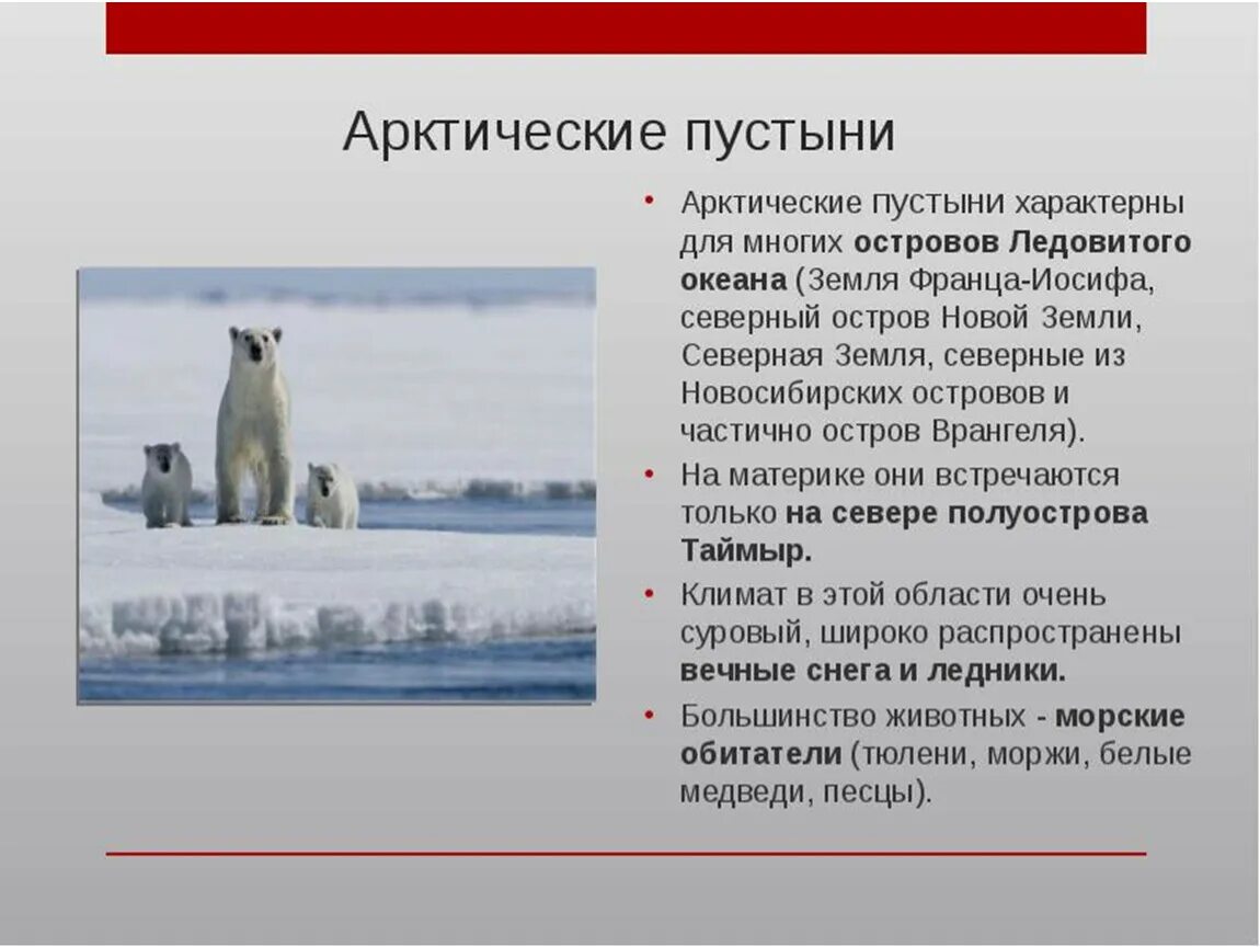 Зона арктических пустынь сообщение о животном. Зона арктических пустынь тундра. зон - тундра и арктическая пустыня. зона арктической тундры. информация про арктические пустыни.