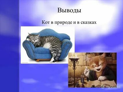 Какие повадки животных