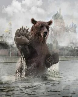 Bear москва