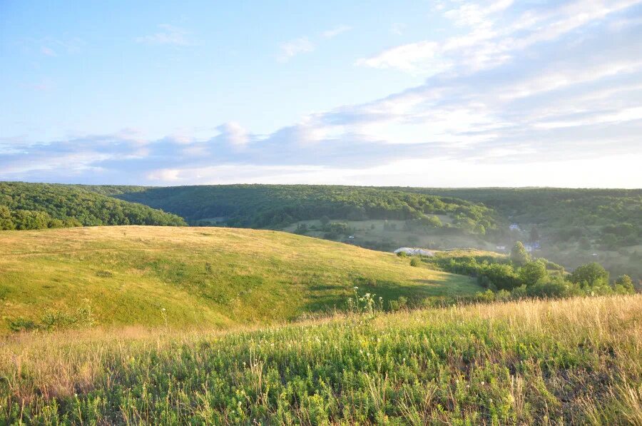 село костенки воронежской области. деревня костенки воронежская область. деревня костенки воронежская область. музей заповедник костенки в воронеже. костенко воронежская область.