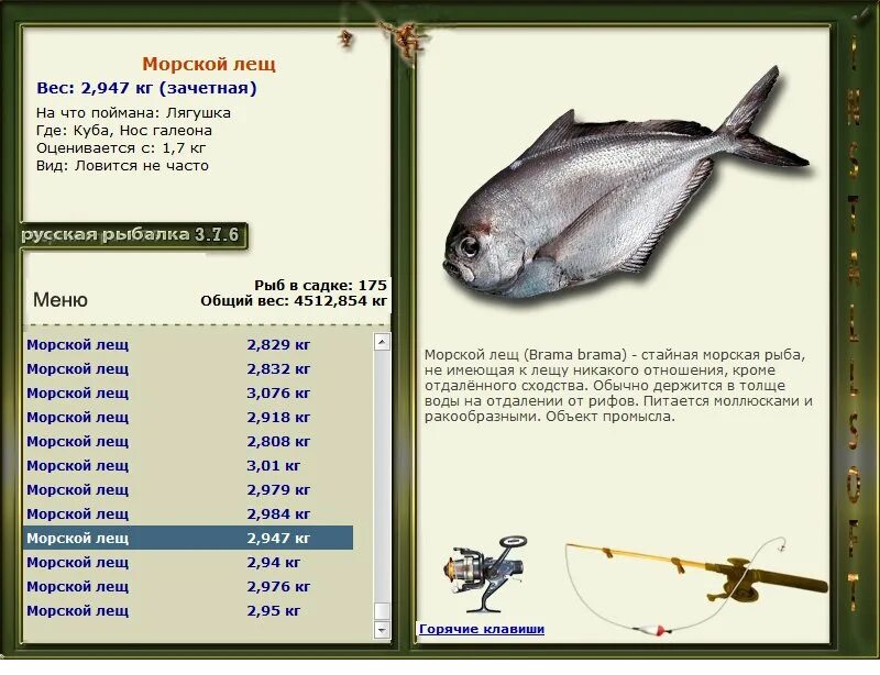 Рыба морской лещ. Лещ рыба вес. Русская рыбалка 3 лещ. Лещ максимальная длина. Русская рыбалка 376