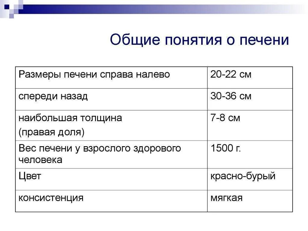 Какие размеры печени норма