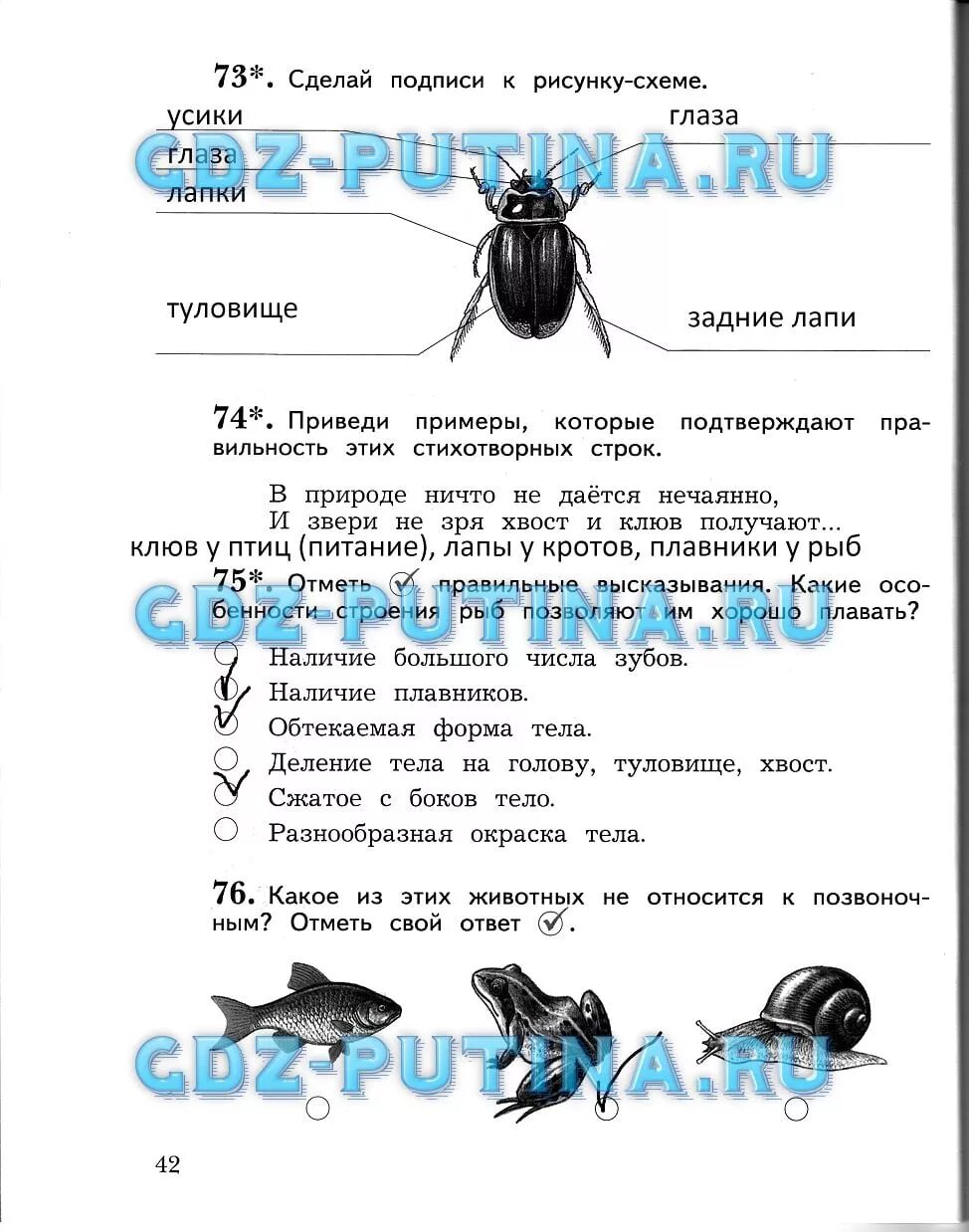 Окружающий мир стр 41 42. Окружающий мир 3 класс рабочая тетрадь 1 часть Виноградова. Окружающий мир рабочая тетрадь 1 часть Виноградова Калинова. Рабочая тетрадь по окружающему миру Виноградова третий класс стр 42. Сделай подписи к рисунку схеме.