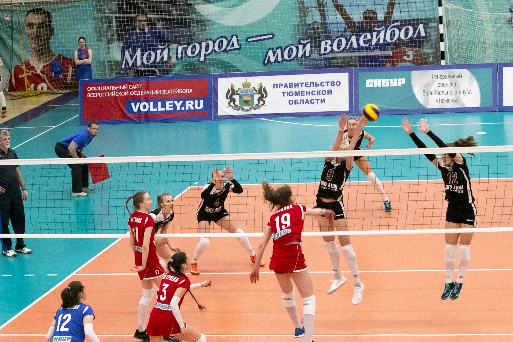 молодежная лига волейбольного динамо.