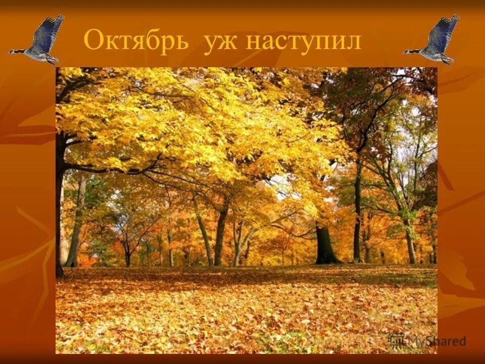 Октябрь какой почему. Октябрь уж наступил. октябрь уж наступил пушкин иллюстрация. осень наступила октябрь. пушкин осень октябрь уж наступил.