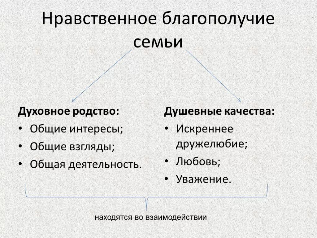 Духовно нравственное благополучие. Моральные качества семьи. Духовное родство. Критерии благополучия семьи.