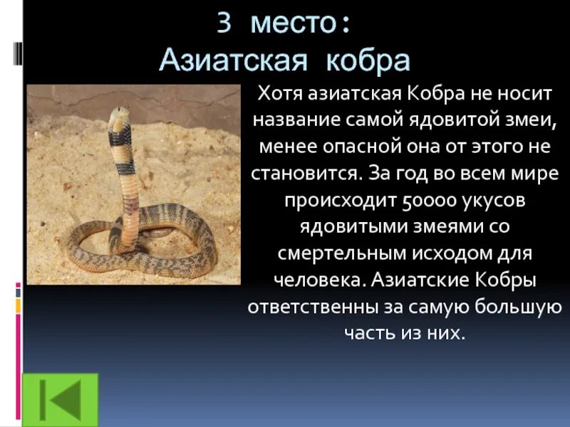 Назовите наиболее опасные. Опасные змеи названия. сообщение про самую ядовитую змею. доклад об опасных животных. проект про опасных животных.
