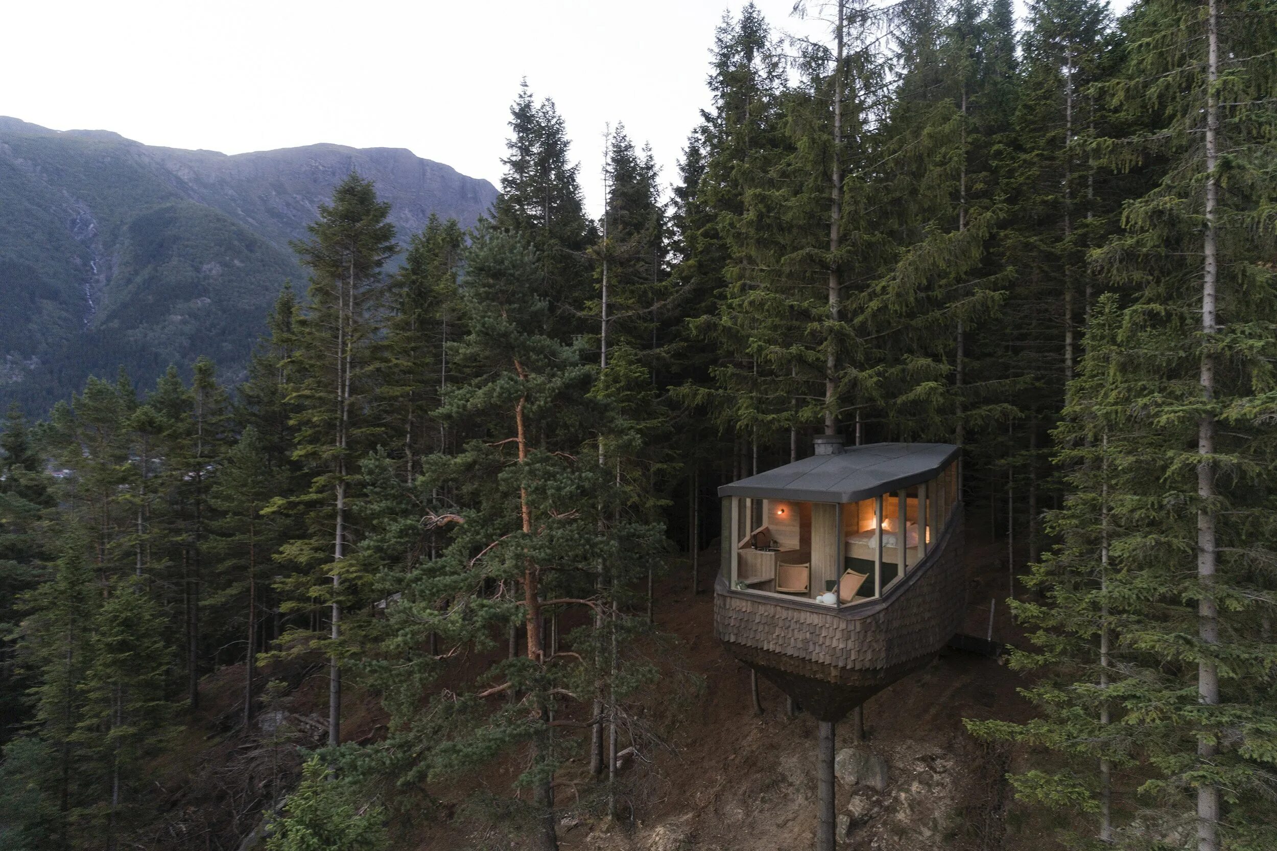 Леса норвегии фото 310 Norway ideas in 2021 norway, norway travel, places to travel