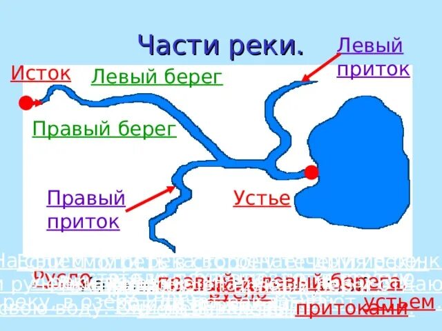 В какой части материка течет лена. Исток реки Устье реки правый приток левый приток. Исток Устье правый левый берег схема реки. Река Лена от истока до устья. Река Лена на карте России Исток и Устье и притоки реки.