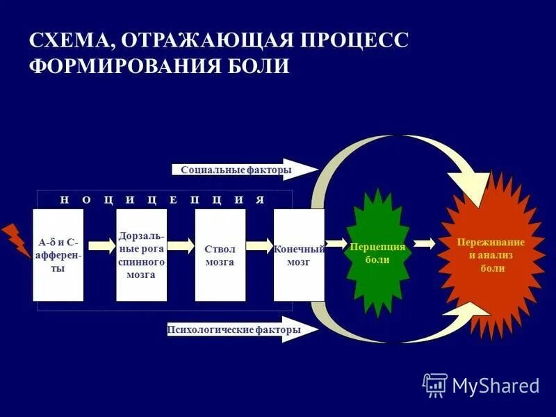 Болезненный анализ. Процессы формирования боли. Схема на тему боль.