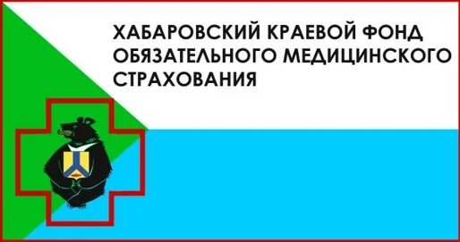Фомс хабаровского края. Фомс хабаровского края. Ффомс логотип. Коэффициент ксг. Фомс хабаровск.