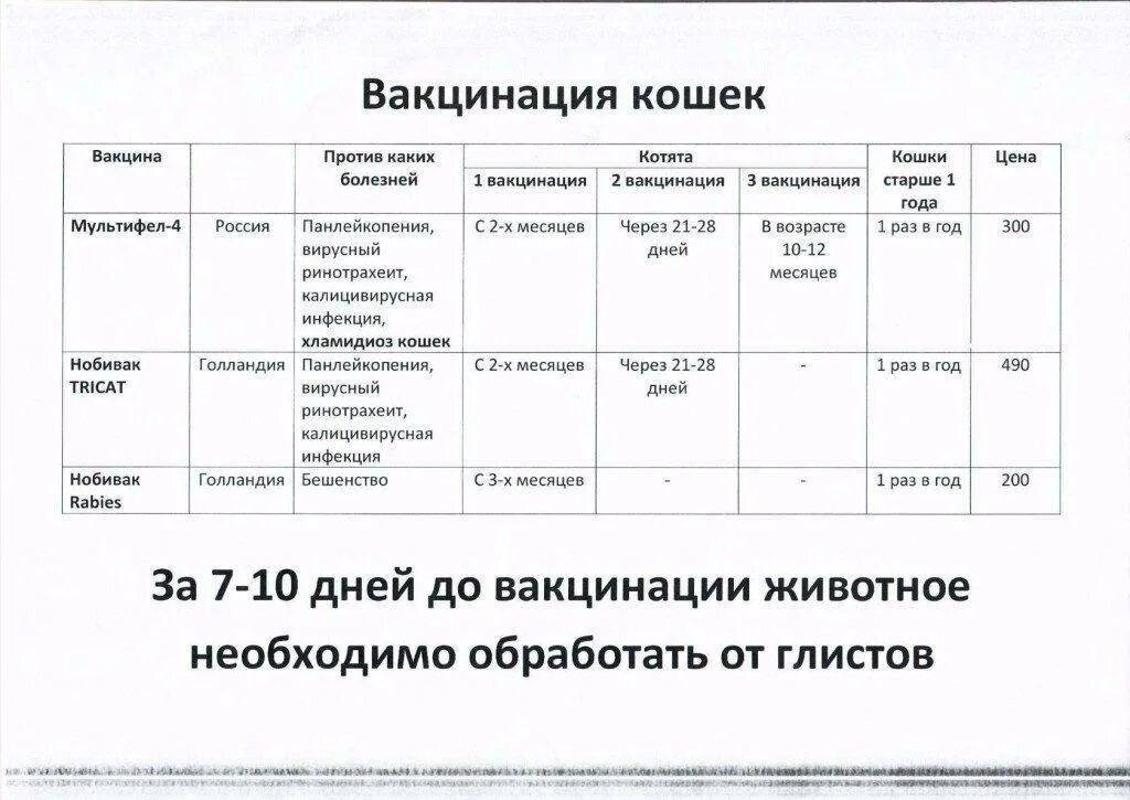 Первая прививка котенку возраст. Прививки кошкам график прививок. Какие прививки делают котятам в 2 месяца. Прививки кошкам по возрасту таблица. Какие прививки делают котятам в 2. мес.