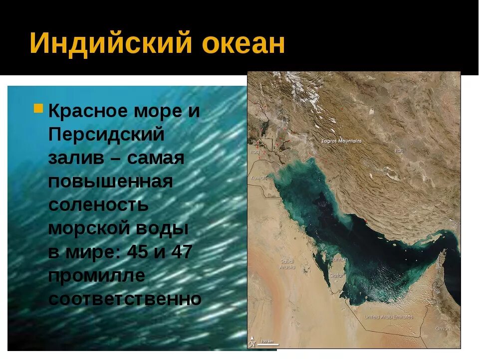 Моря индийского океана. Персидский залив индийского океана. Персидский залив море. Персидский залив соленость воды. Какого океана является красное море