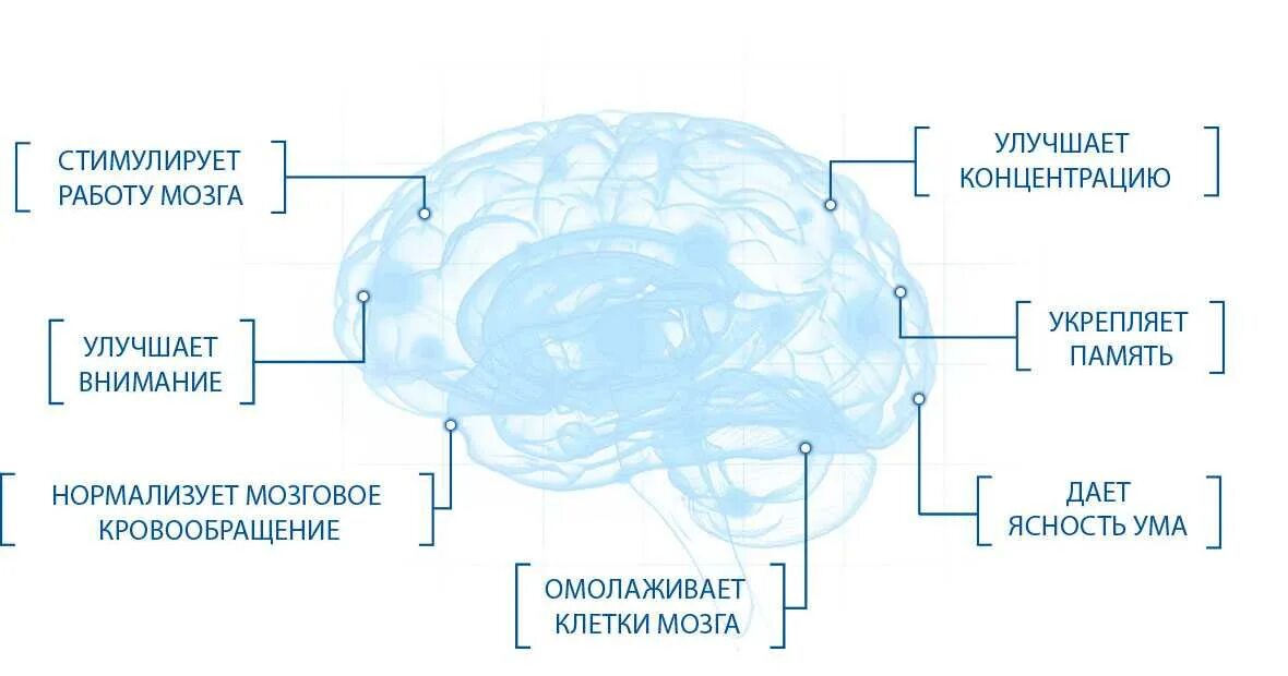 Мозг человека как улучшить работу. Стимулирует мозговую деятельность. Стимуляция мозговой активности. Что улучшает работу мозга. Улучшение мозга.