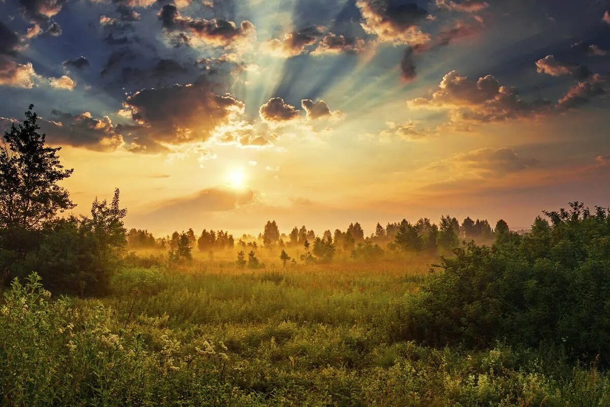 Природа рассвет. Пейзаж рассвет. Рассвет над лесом. Закат поле лес. Атакуем на рассвете