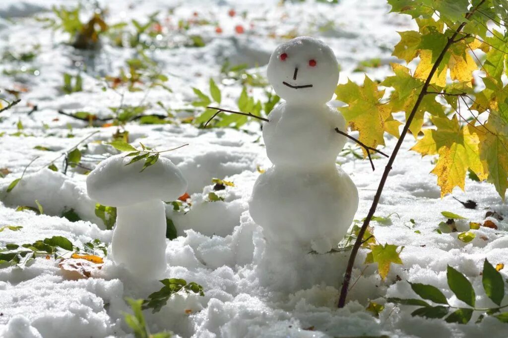 Снег отлично. Первый снежок. Осенний Снеговик. С первым снегом картинки. Снеговик осенью.