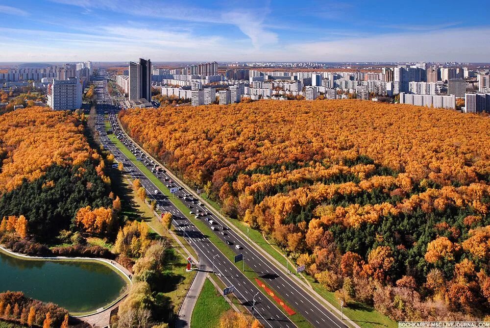 Юго-Западный лесопарк Москва. Москва Юго-Западный лесопарк Юго-Западный лесопарк. Юго-Западный лесопарк осенью. Ленинский проспект Юго Запад. 10 октября улица москва