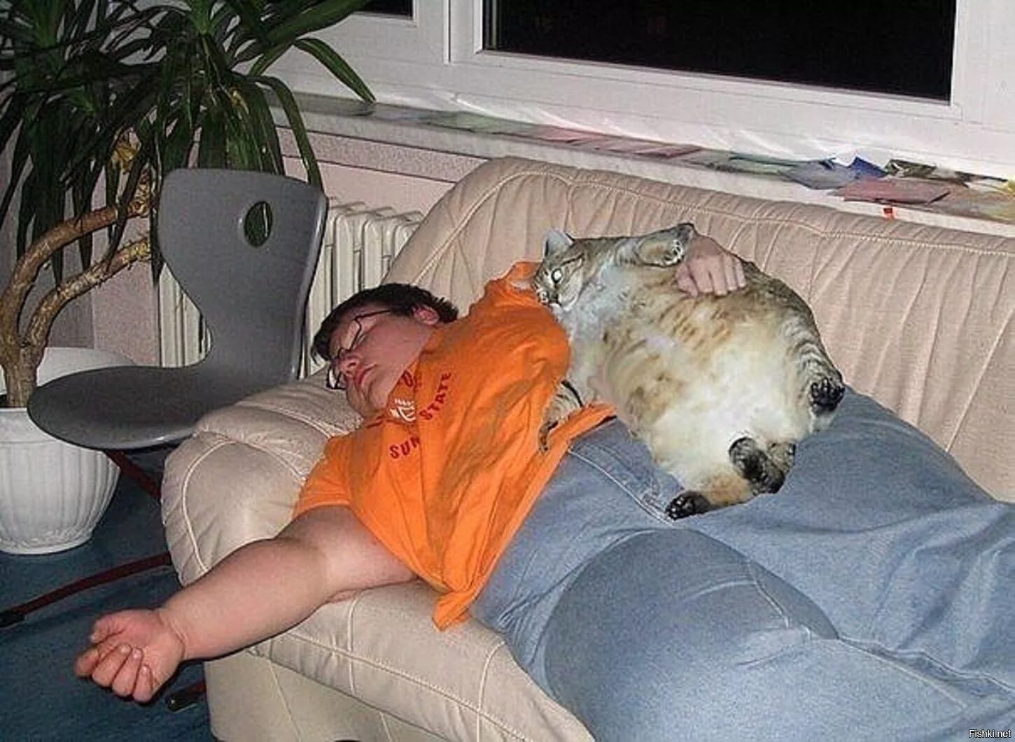Спать после того как поешь. Толстый кот объелся. Толстый кот объелся и лежит. Обожравшийся кот.